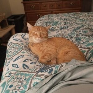 Meet your Posher, Matthew